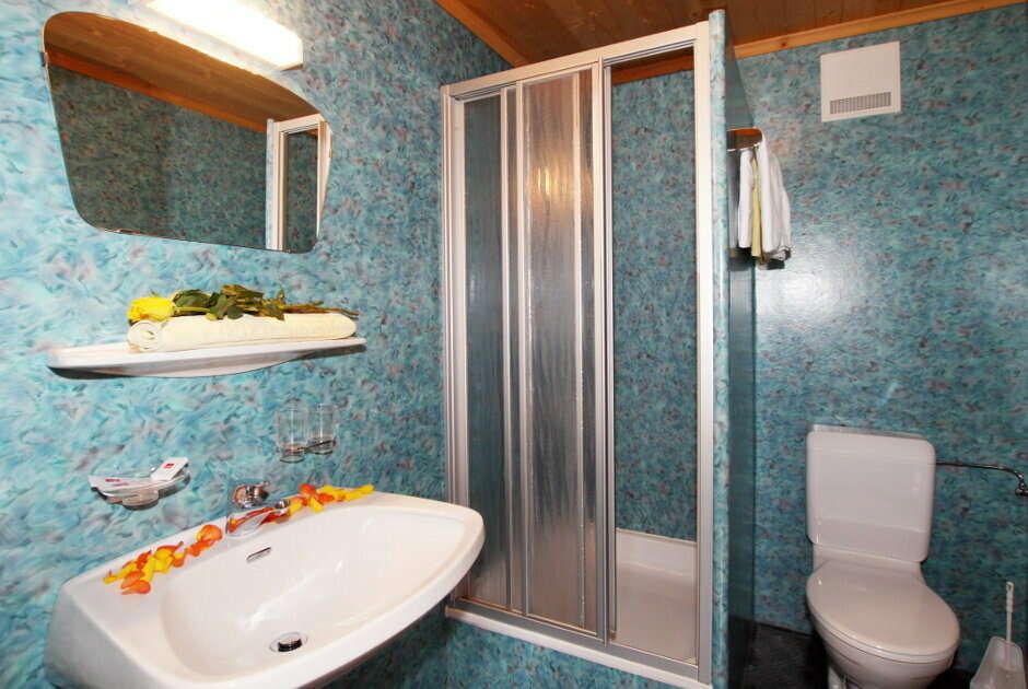 Appartement 1 mit Badezimmer und WC im Hof Walch